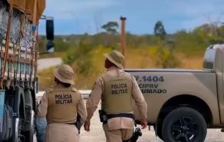 CIPRv/Brumado apreende veículo por transporte irregular de bovinos em Tanhaçu