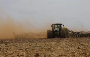 Bahia lidera expansão da soja no Brasil com 100 mil novos hectares, aponta Serasa Experian
