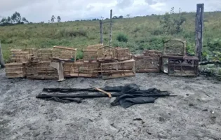 Polícia Militar realiza soltura de animais silvestres após denúncia de maus-tratos em Belmonte