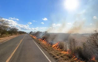 Incêndio criminoso na BR-030 provoca falta de energia e afeta abastecimento de água na região