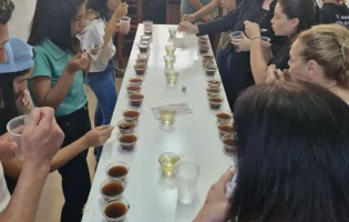 Uesb fortalece setor cafeeiro com laboratório especializado em análise de grãos