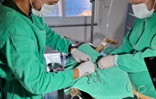 Canil Municipal de Guanambi realiza mais de 700 atendimentos a cães no primeiro semestre de 2026