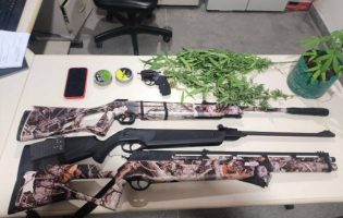 Operação conjunta apreende arma e plantação de maconha em distrito de Jacobina