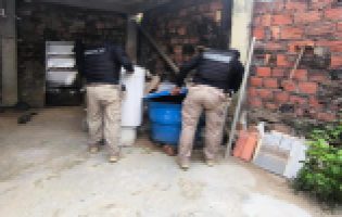 Homem Condenado a 10 Anos por Exploração Sexual Infantojuvenil na Bahia em Caso da Operação Lobo Mau